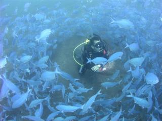 Diving in Ohope Beach, New Zealand