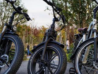 Electric Scooter & Bike Hire