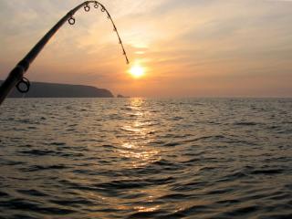 Fishing, Ohope Beach