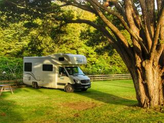 Freedom Camping / Overnight Parking Ohope Beach