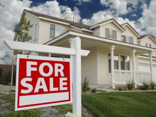 Real Estate, Ohope Beach
