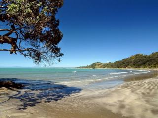 Swimming, Ohope Beach