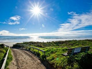 Ohope Beach