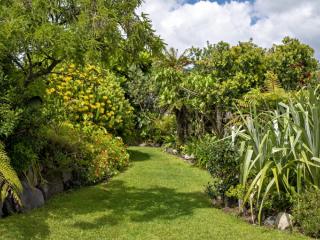 Award Winning Native Garden