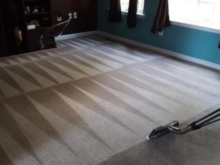 Carpet Cleaning