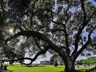 Mahy Reserve Ohope - Yan Ping Photography