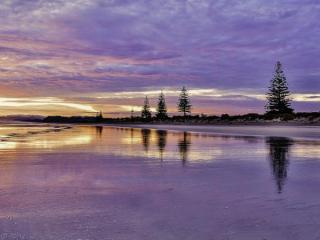 Ohope Beach Sunrise - Yan Ping Photography