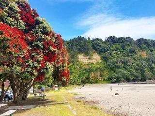 Ohope Beach West End