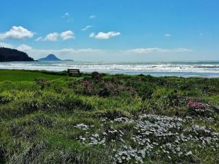 Ohope Beach - Yan Ping Photography