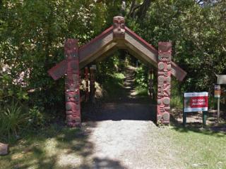 Ohope Scenic Reserve, Whakatane