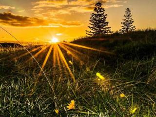 Ohope Beach Sunset - Yan Ping Photography