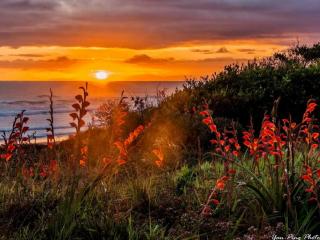 Ohope Beach Sunrise - Yan Ping Photography