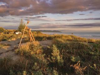 Ohope Beach