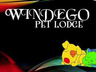 Windego Pet Lodge