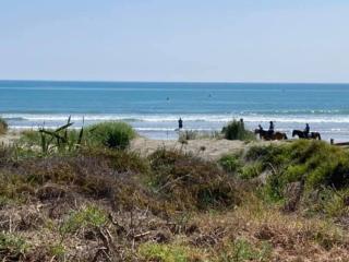 Kai Ika Charity Tournament Ohope Whakatane