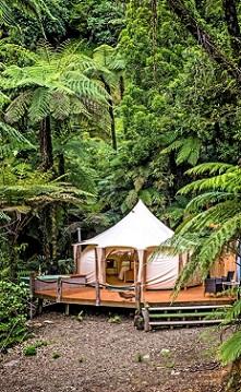 Waterfall Mountain Glamping, Opotiki