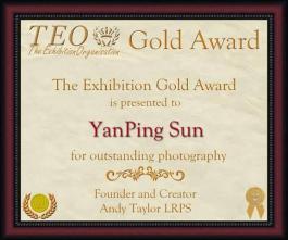 TEO Gold Award