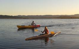 Kayaking Ohiwa