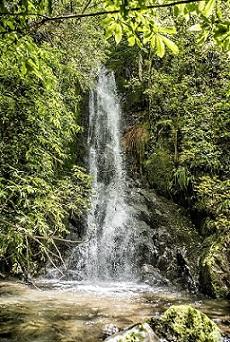 Waterfall Mountain Glamping, Opotiki