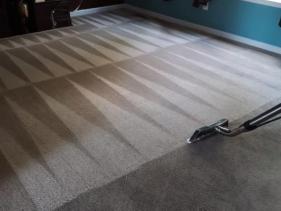 Carpet Cleaning