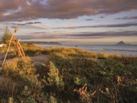 Ohope Beach